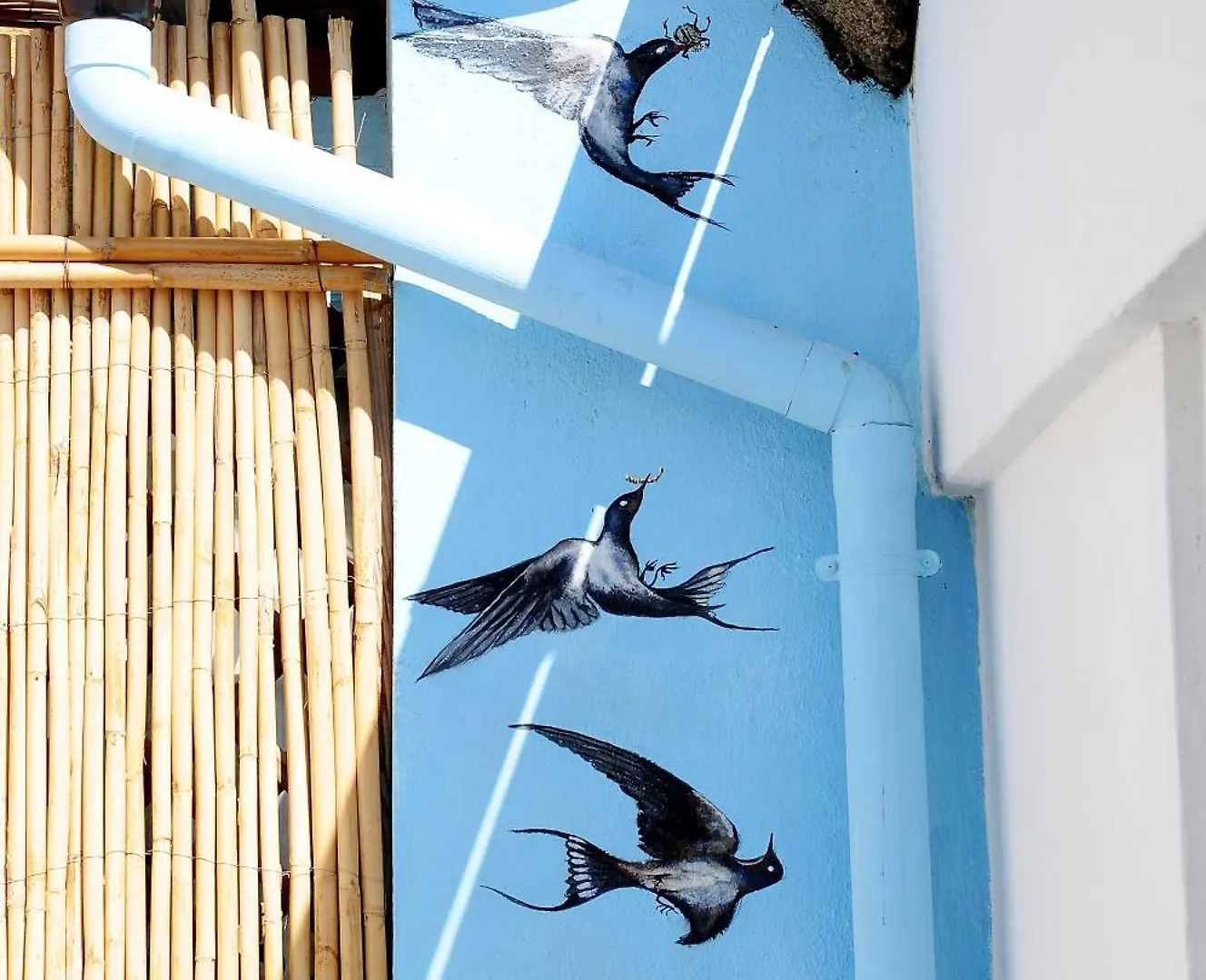 Apartmán Casa Loddo Art, Italy,Sardegna-Cagliari-Pirri Itálie